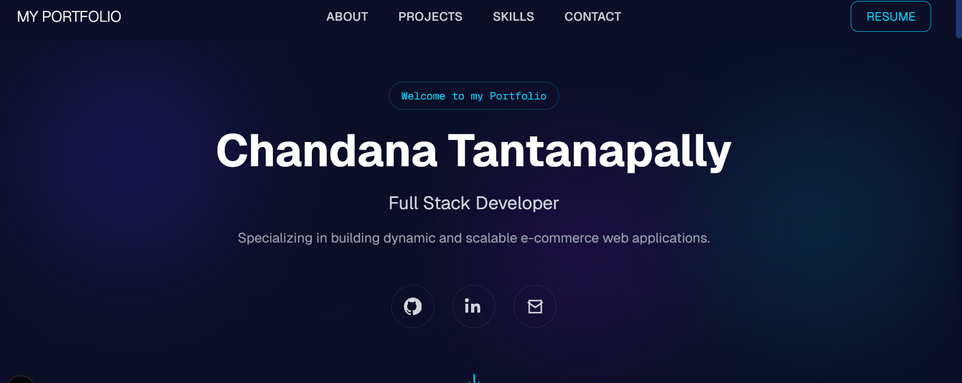 Portfolio Website website preview